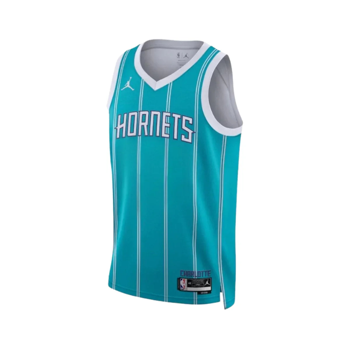 NBA Charlotte Hornets 25/26