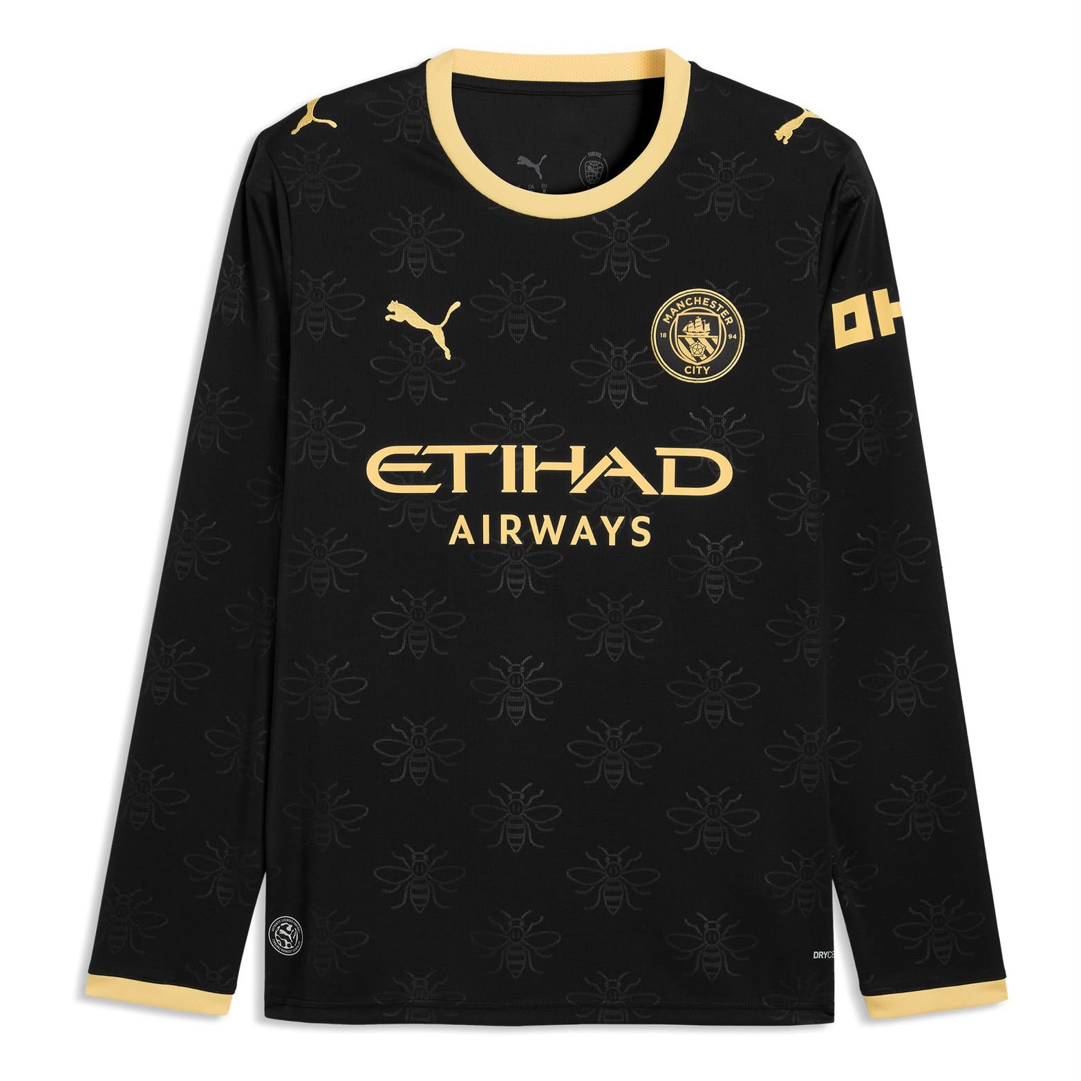 Camisola Manga Longa Manchester City II 26/27