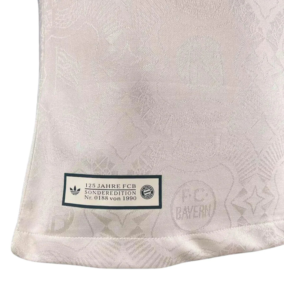Camisola Bayern Munique Edição Especial 25/26 - Jogador