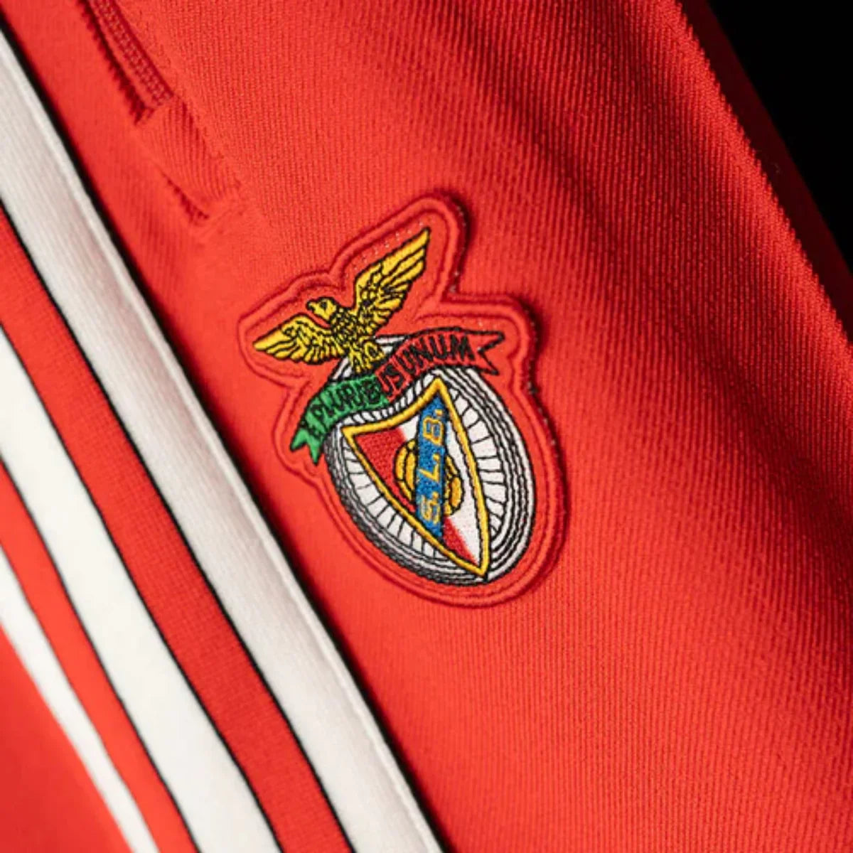 Fato de Treino Benfica 25/26 - Com zíper