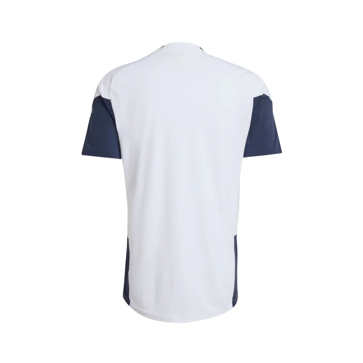 Camisola Seleção Argentina 26/27 - Treino