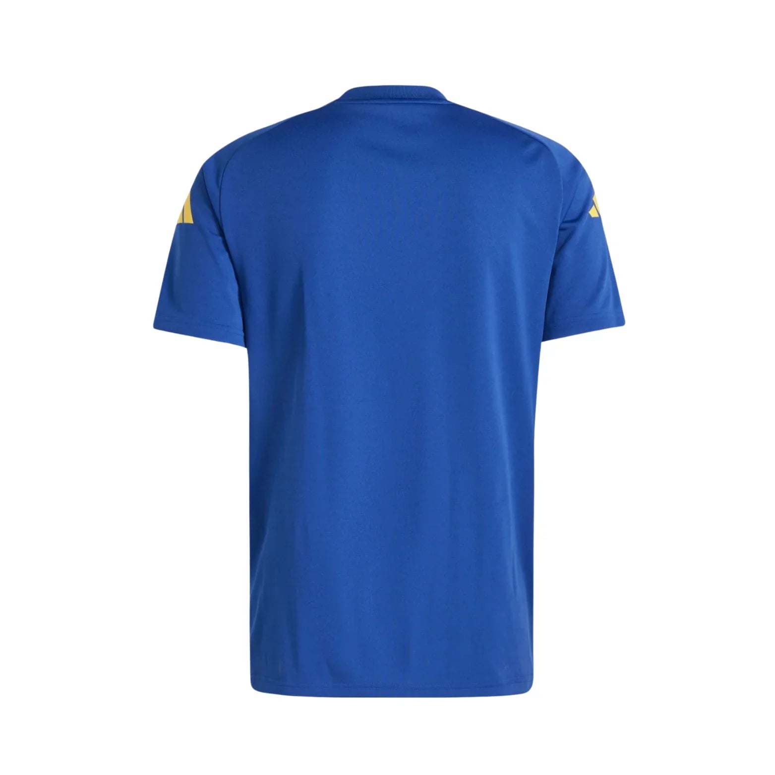 Camisola Seleção Espanha Treino 24/25