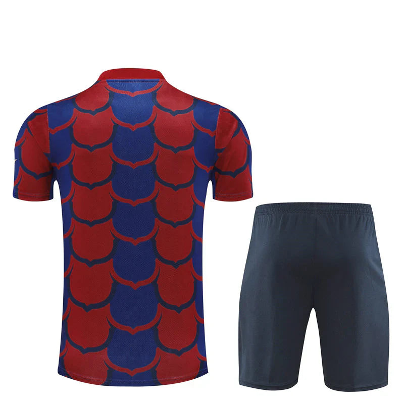 Camisola e Short Barcelona 24/25 - Pré Jogo