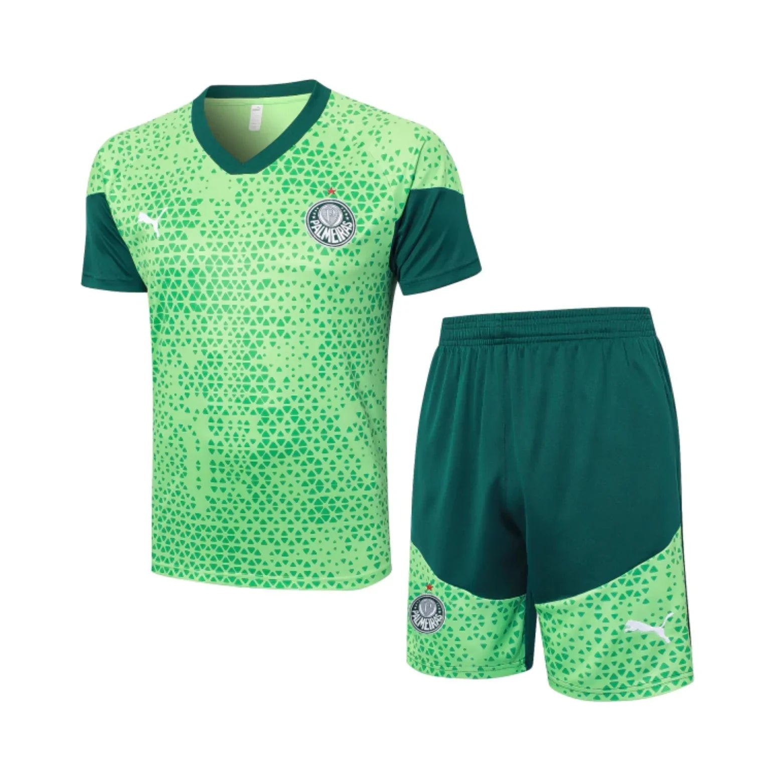 Camisola e Short Palmeiras 25/26